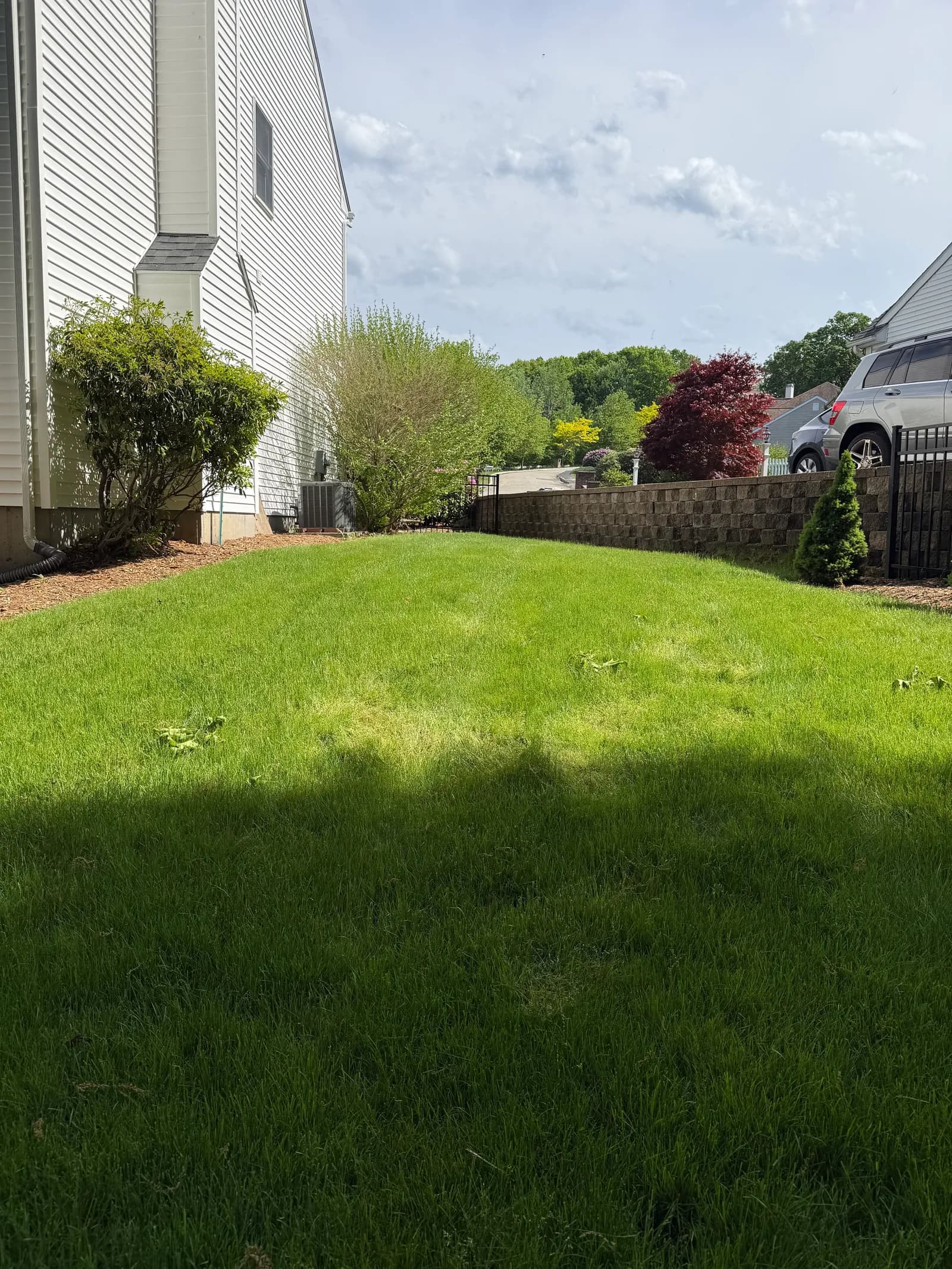 Before — the bare side yard